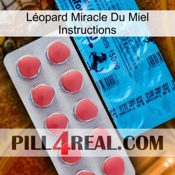 Léopard Miracle Du Miel Instructions new14.jpg